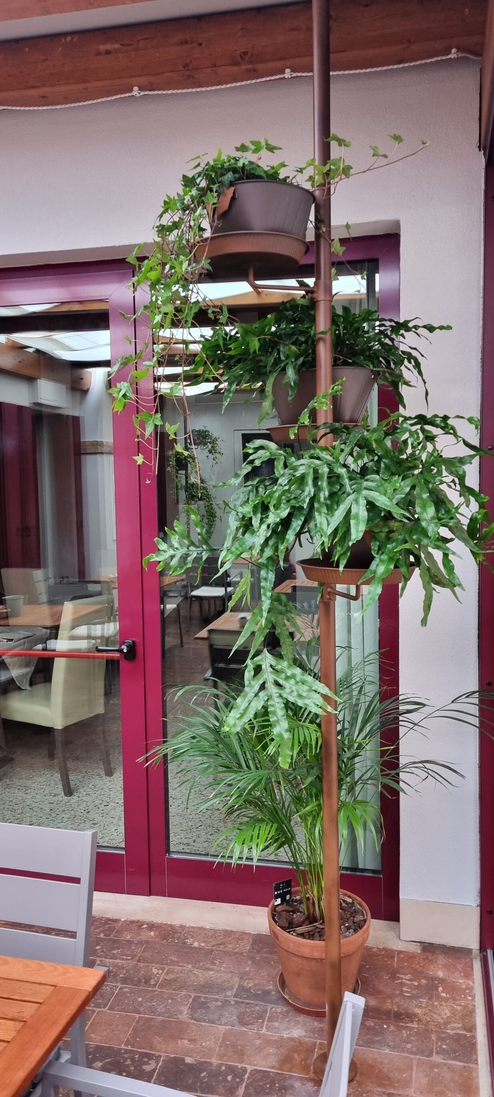 A potted plant with a trellis structure in an outdoor area with a red door and tiled flooring.