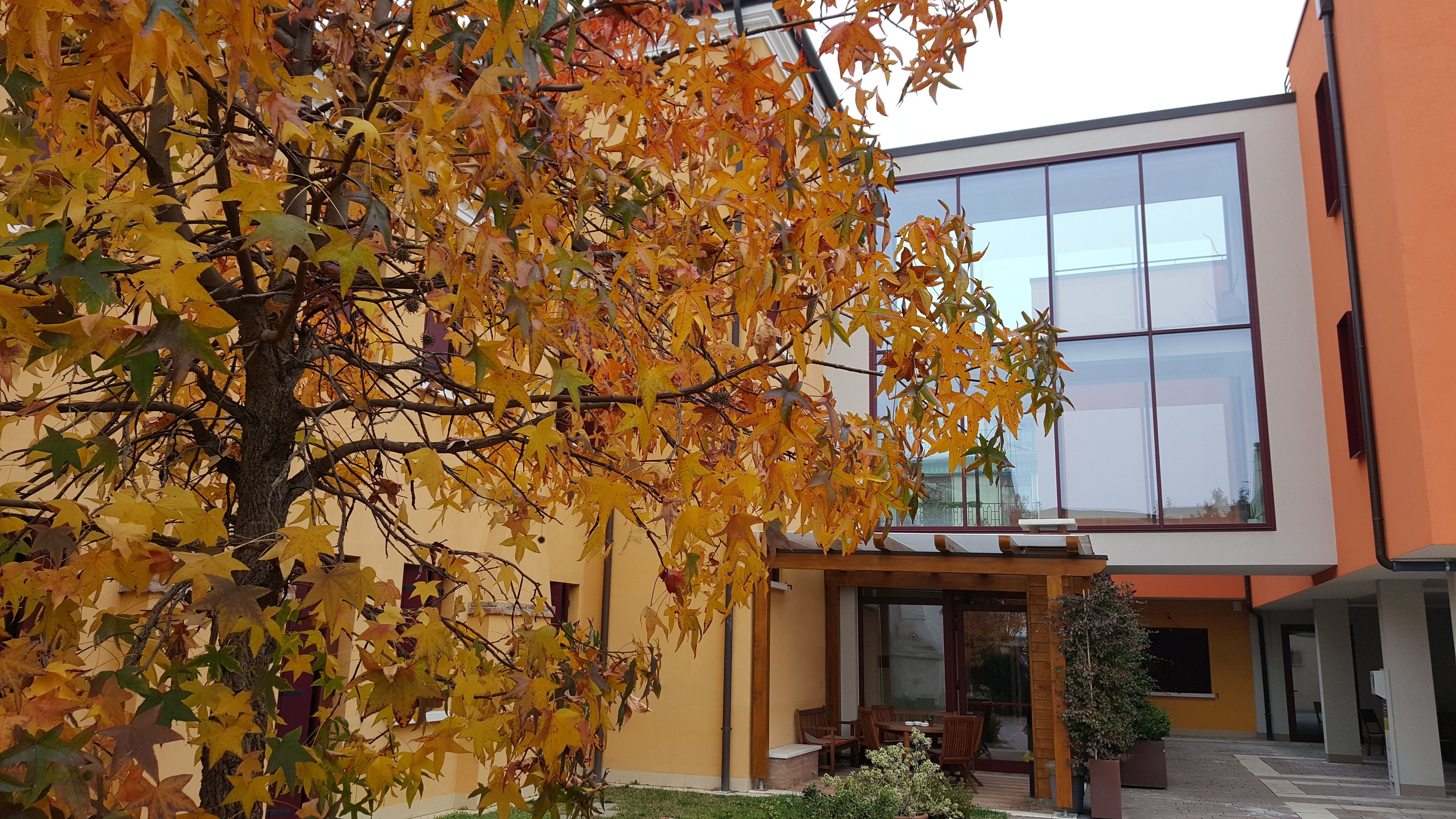 Un edificio moderno con fachada de vidrio, un patio con mobiliario exterior y un árbol con hojas otoñales.
