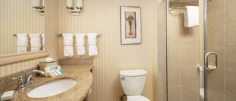 A bathroom with a granite countertop sink, a white toilet, a glass shower enclosure, and a framed picture on the wall.