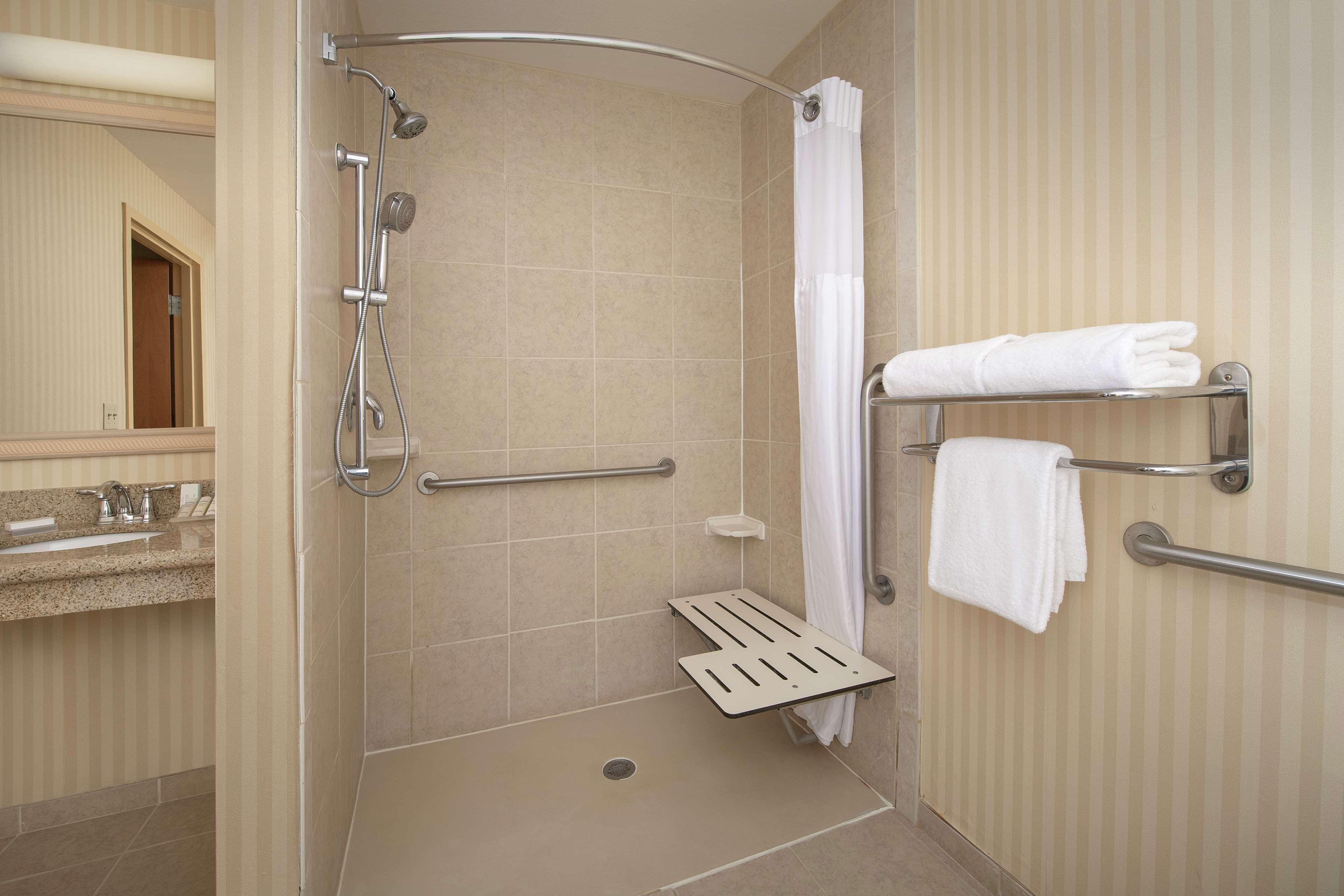 room, 1 king bed, accessible (mobility & hearing, roll-in shower) | bathroom shower