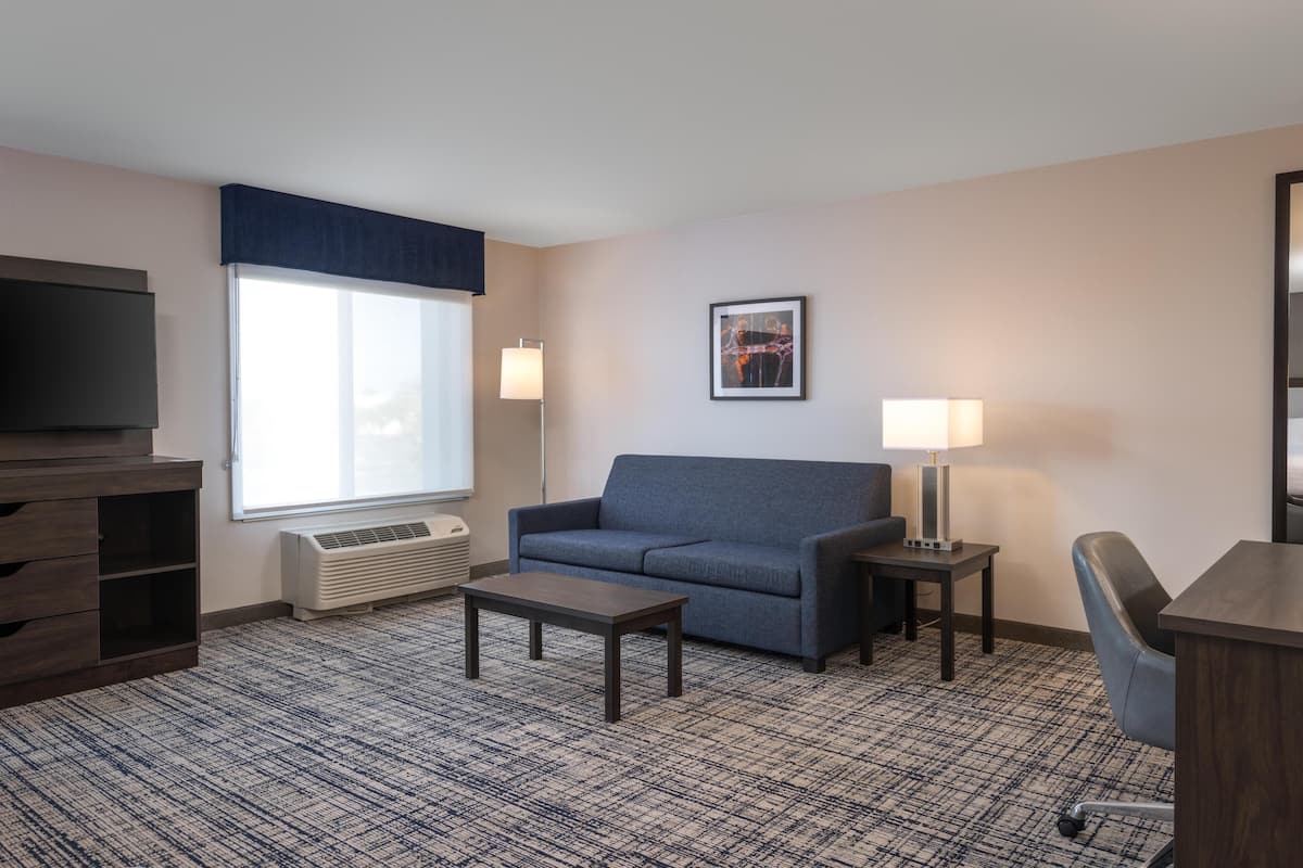A hotel room with a sofa, a TV, a desk, a chair, a lamp, and a picture on the wall.