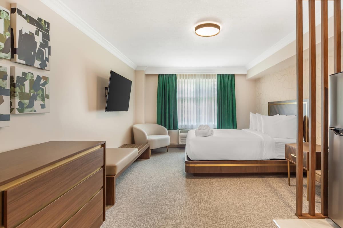 Room, 1 Queen Bed, Non Smoking (Efficiency, Upgrade) | Pillowtop beds, desk, rollaway beds, free WiFi