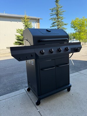 Área de parrillas y picnic