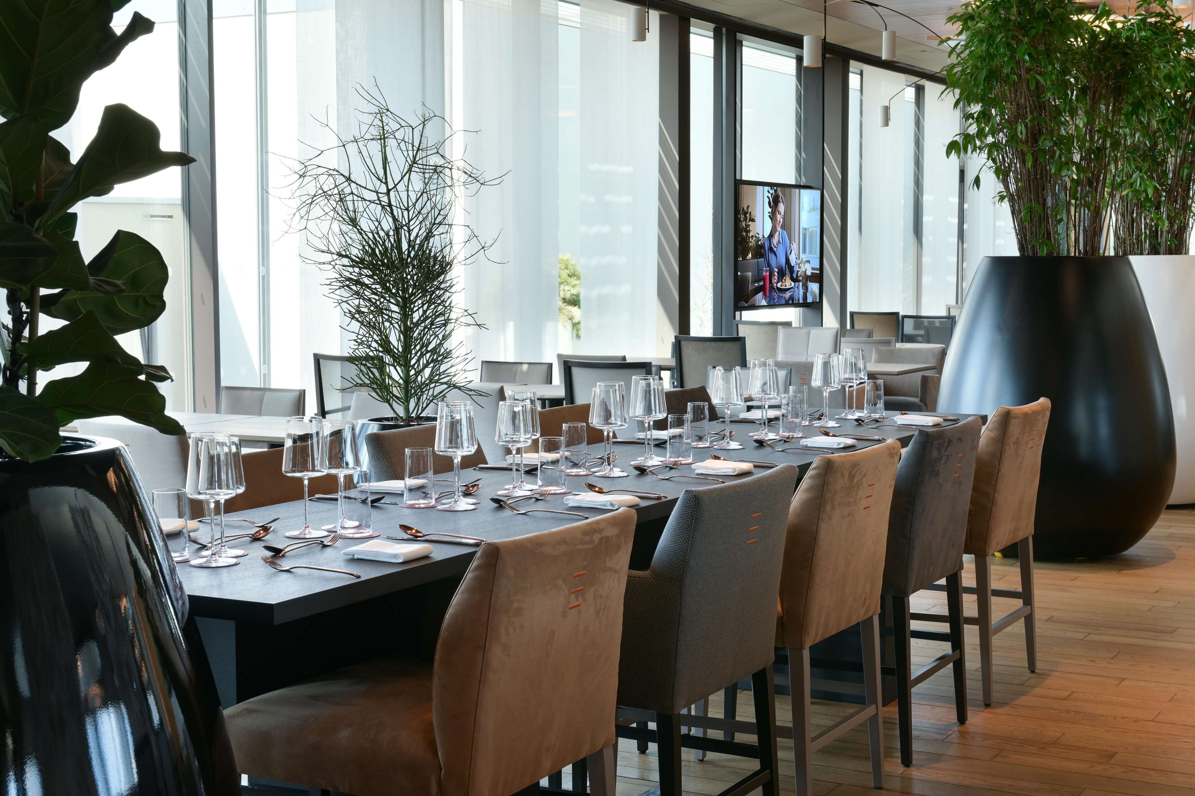 A dining area with a long table set for a meal, surrounded by chairs, with a large potted plant and a television screen in the background.