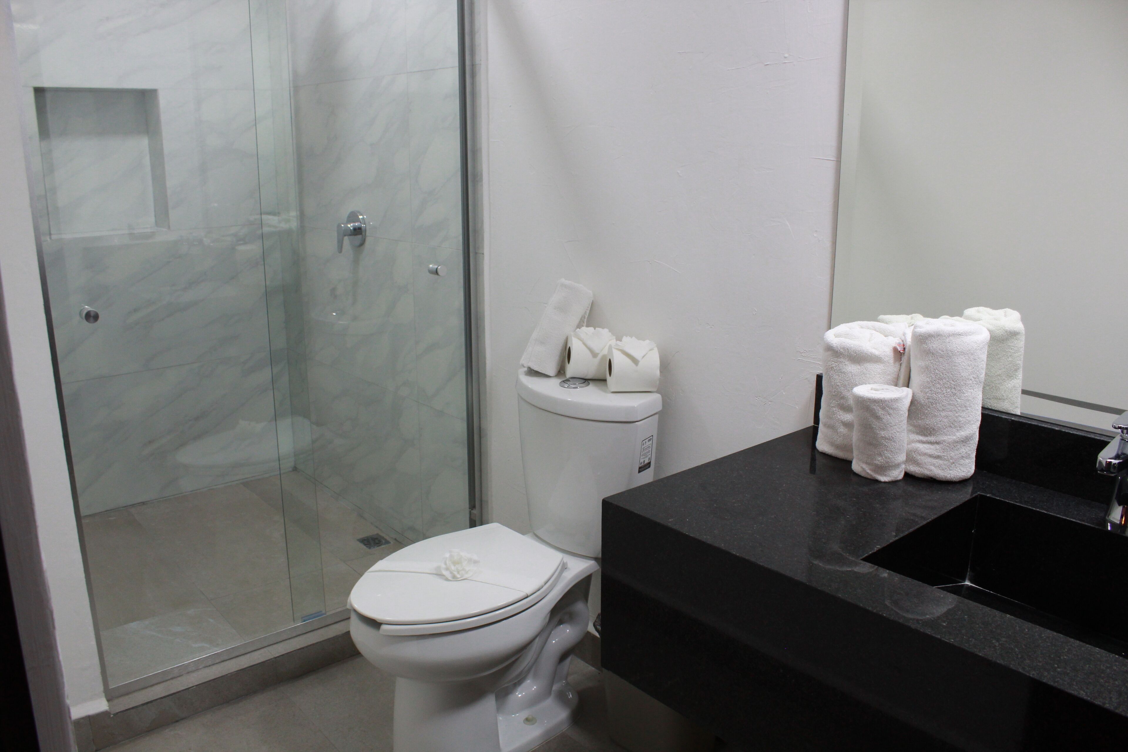 shower, designer toiletries, hair dryer, towels