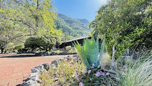 A garden with a paved walkway, various plants, and a building in the background. - Hotel Chipinque (San Pedro Garza García)