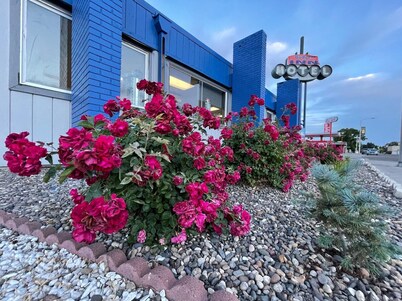 Capital O Budget Inn Ontario I-84