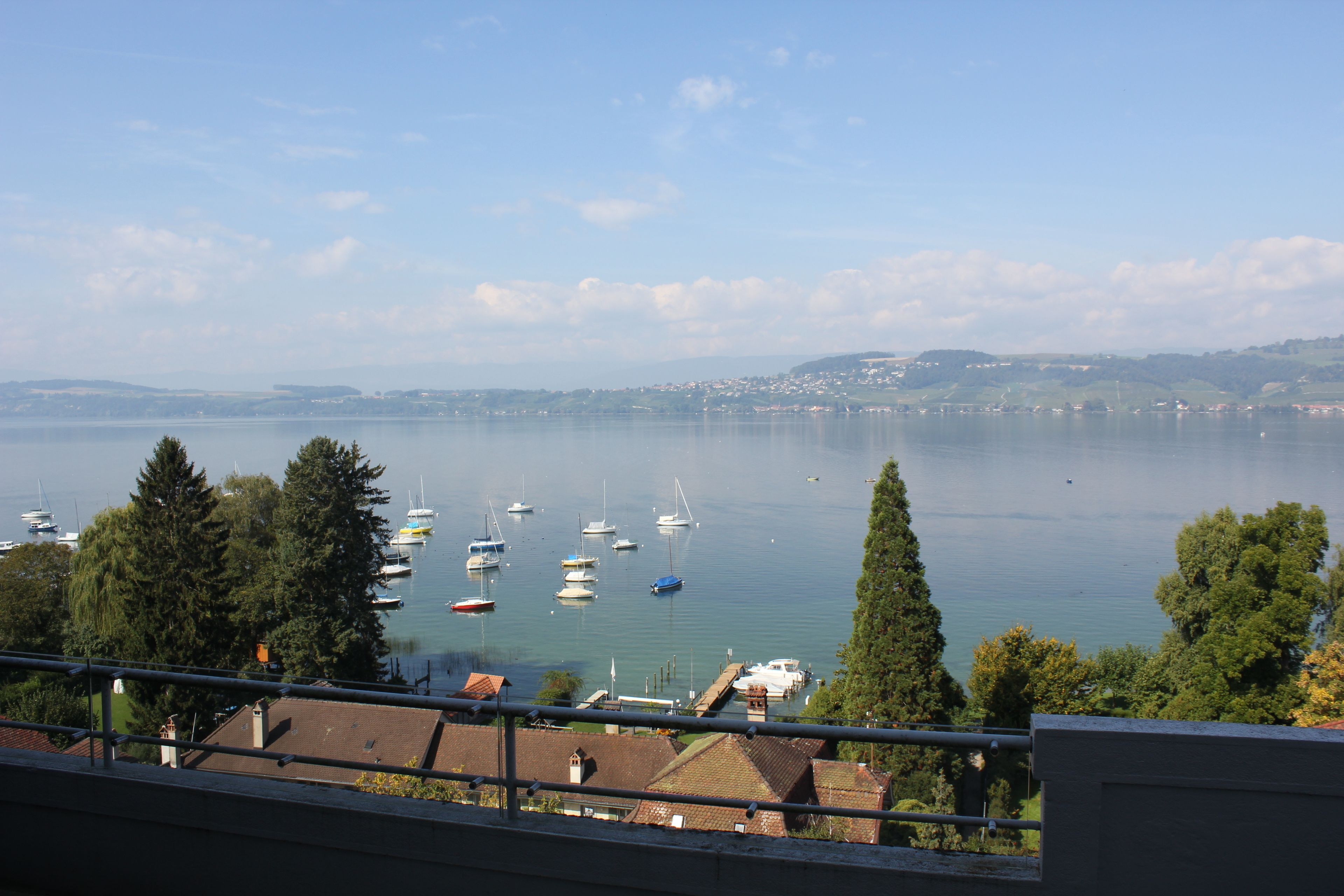 senior suite | terrace/patio