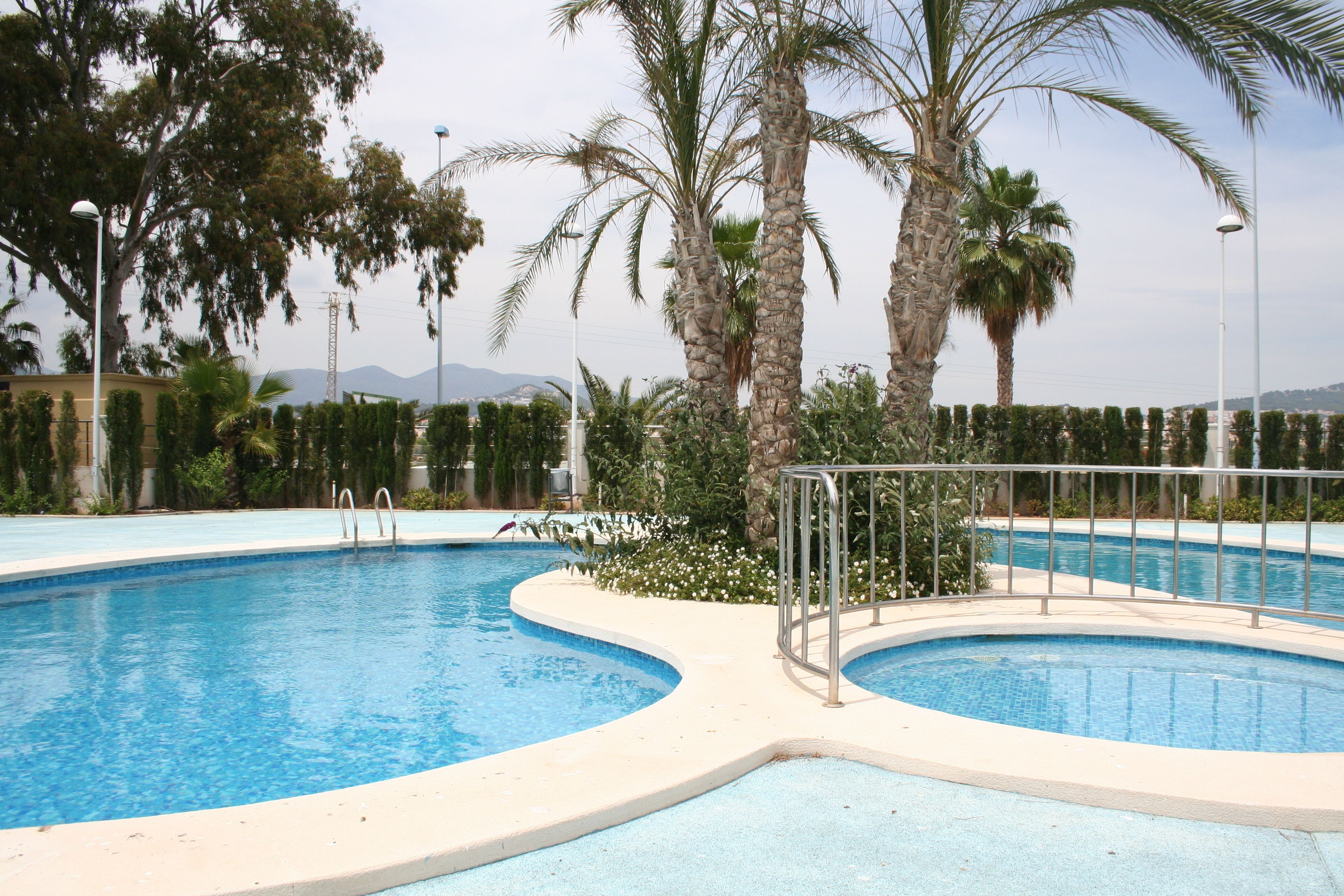 A swimming pool with a curved design, surrounded by palm trees and a metal railing.