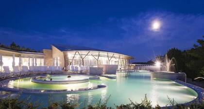 Hotel Alexander Palme