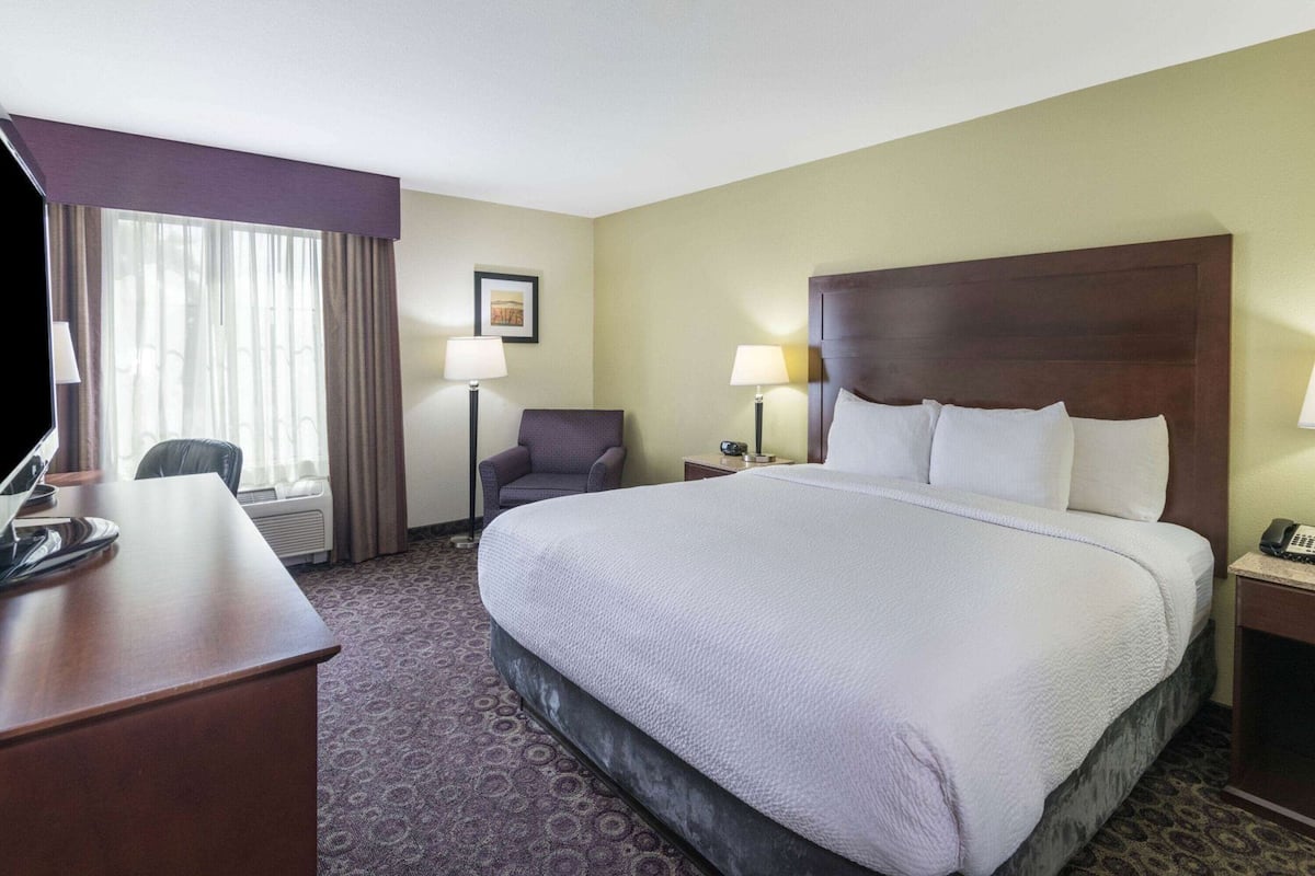 Premium bedding, down comforters, pillowtop beds, desk