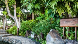 Un jardín con un sendero de piedra, rocas grandes y abundante vegetación. Se observa un letrero de madera con el texto 'Jicaro Island Ecologge'.