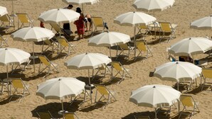Una playa con hileras de sombrillas blancas y sillas amarillas.