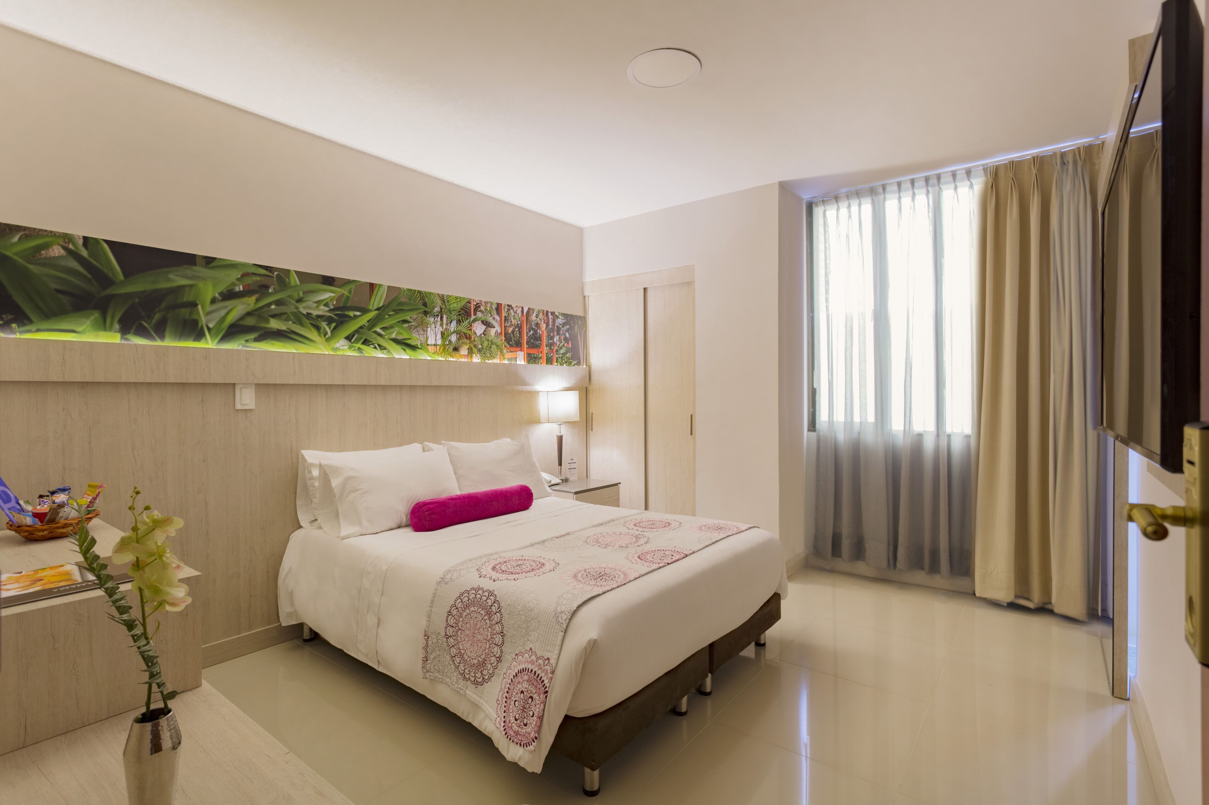 Una habitación de hotel con una cama, una mesita de noche, un televisor instalado en la pared, una ventana con cortinas y una planta sobre la mesita.