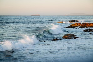 A coastal scene with waves crashing against rocks and a distant ship. - Albatross Guest House (Cape Town)