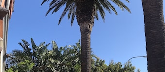 Albatross Guest House