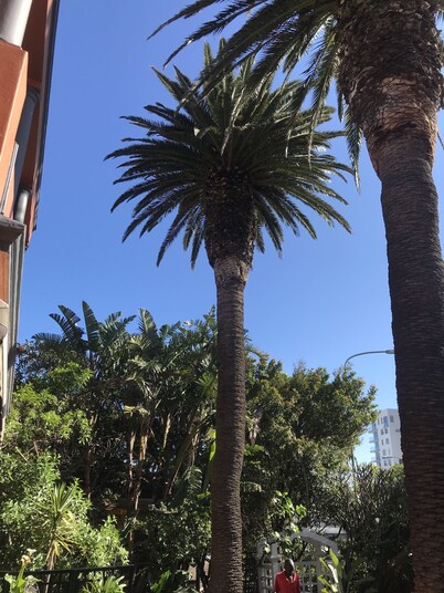 Albatross Guest House