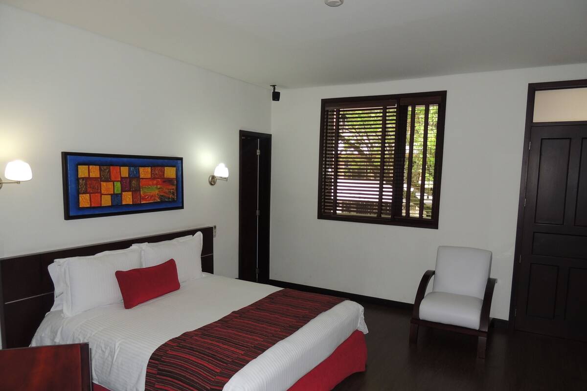 Deluxe Single Room, 1 Queen Bed | Minibar, in-room safe, desk, rollaway beds