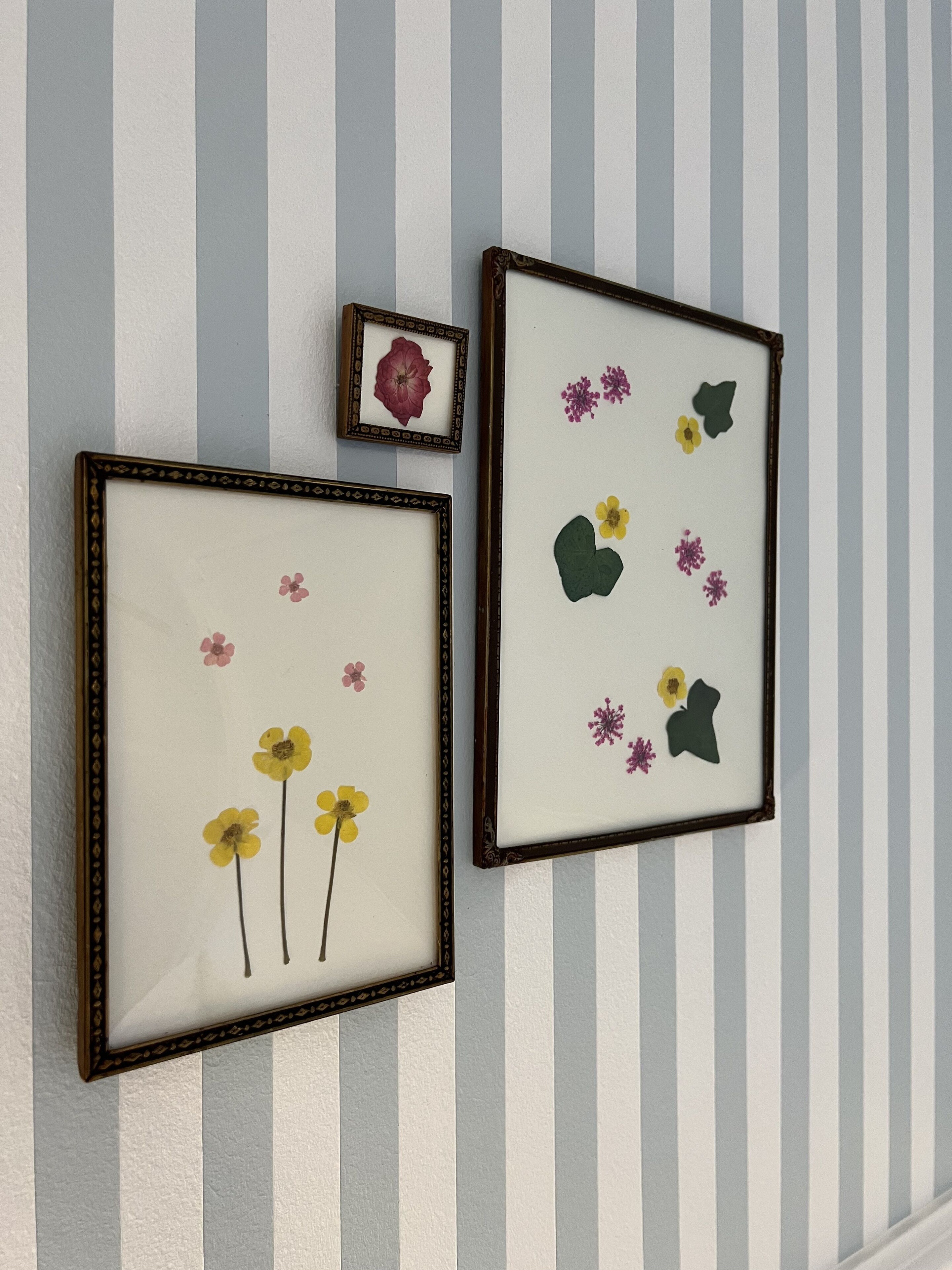 Two framed artworks with floral designs on a wall with vertical stripes.