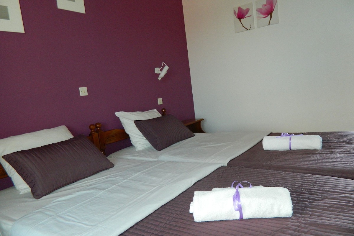 A hotel room with two beds, purple walls, and a white bedspread.