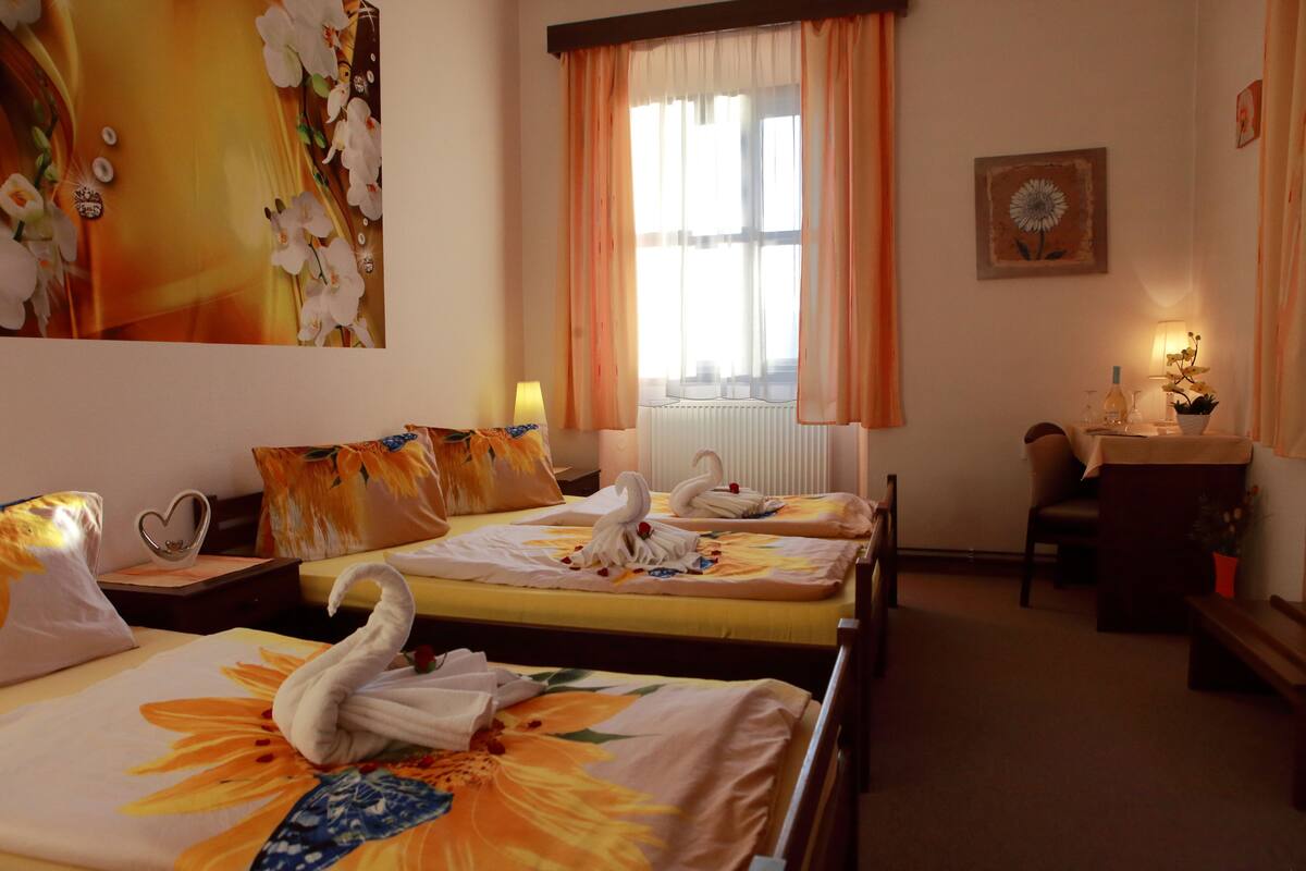 Desk, blackout drapes, WiFi (free), bed sheets