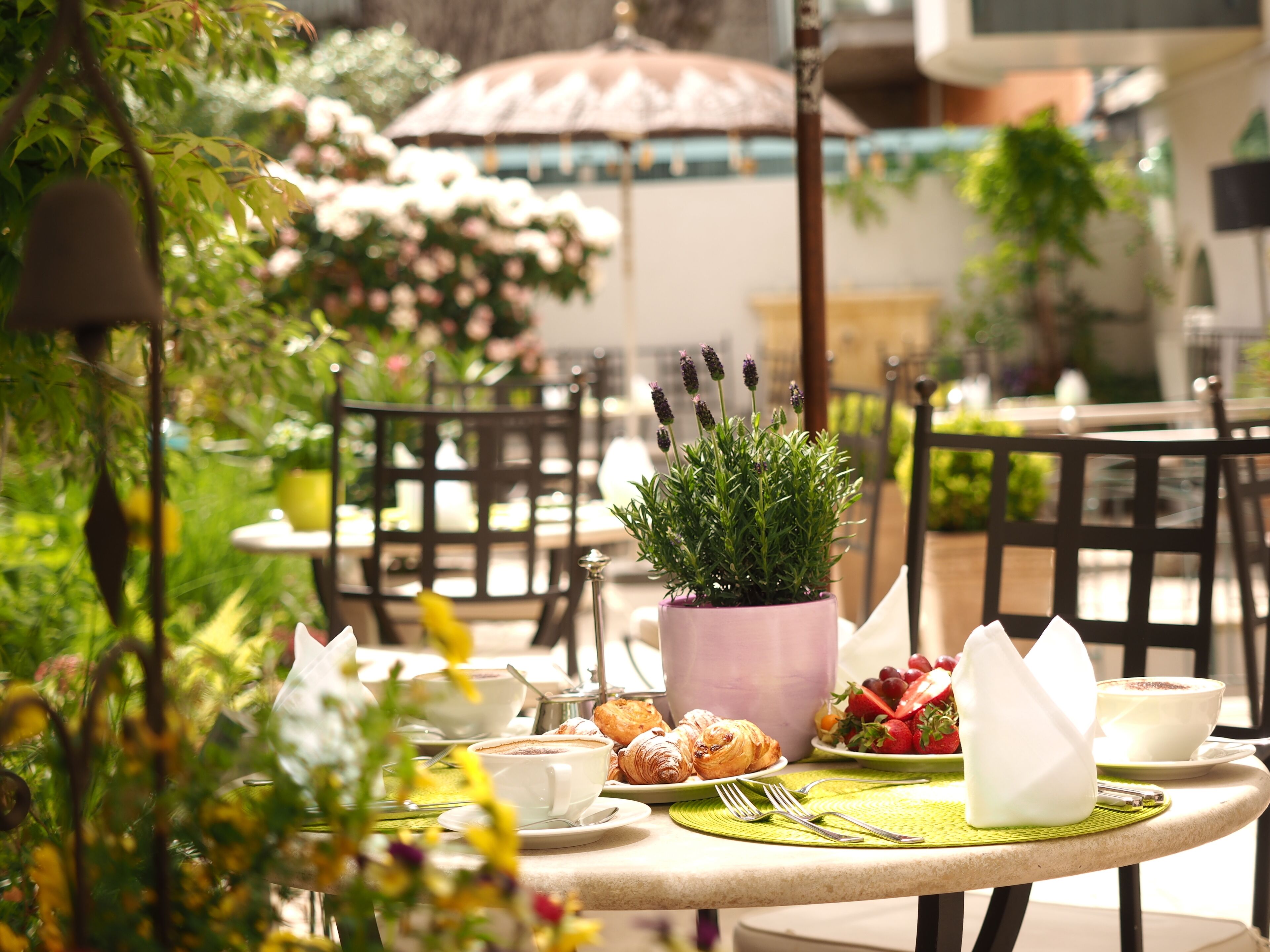 daily buffet breakfast (eur 18.00 per person)