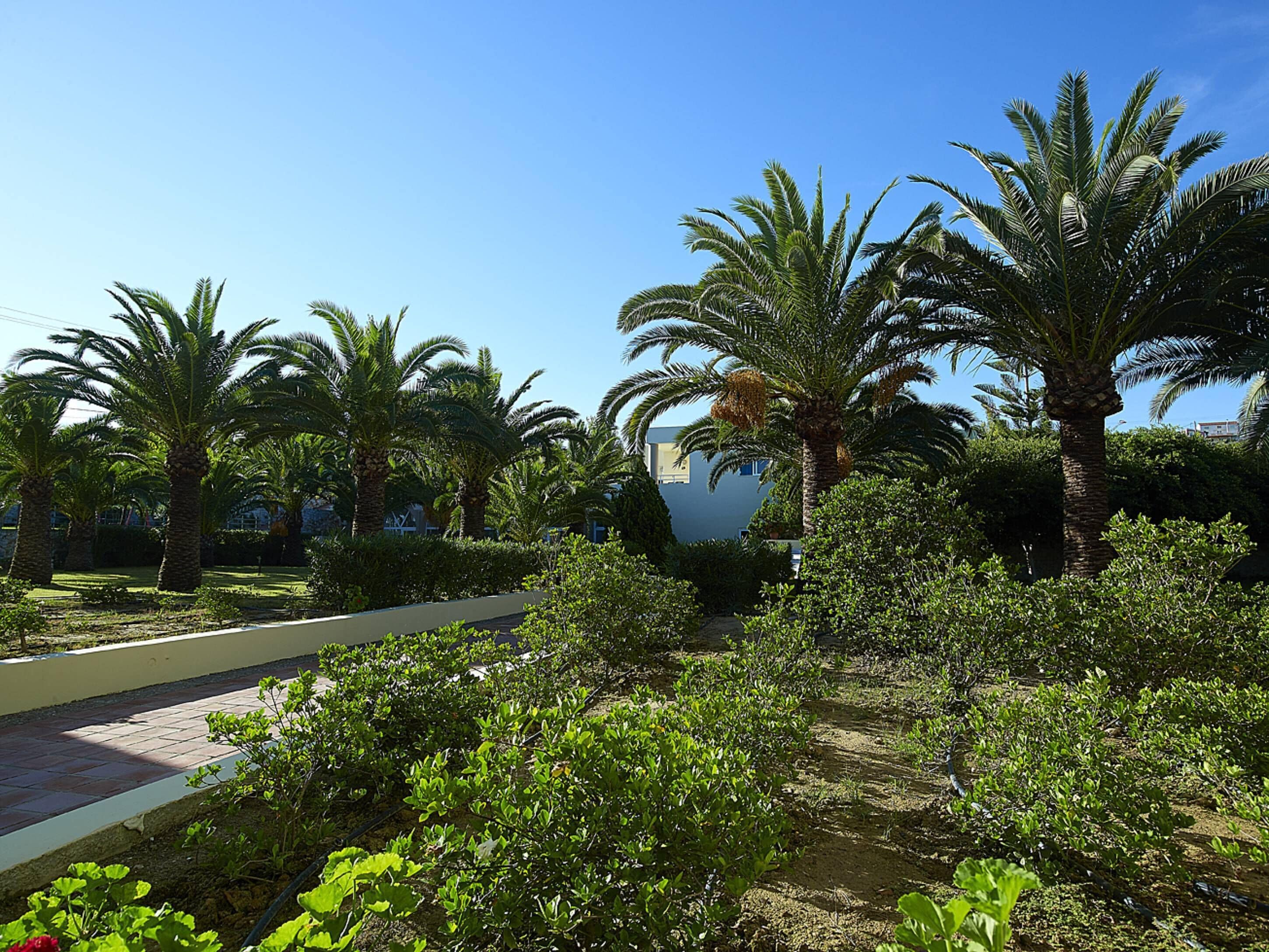 Photo - Eleftheria Hotel