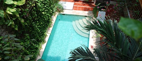 Outdoor pool, open 9:00 AM to 9:00 PM, pool loungers