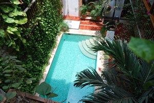 Piscina rectangular con solárium empedrado, rodeada de abundante vegetación y plantas en macetas.