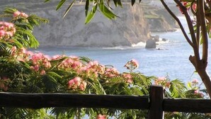 A coastal view with a wooden fence and flowering plants. - Emerald (Apokoronas)
