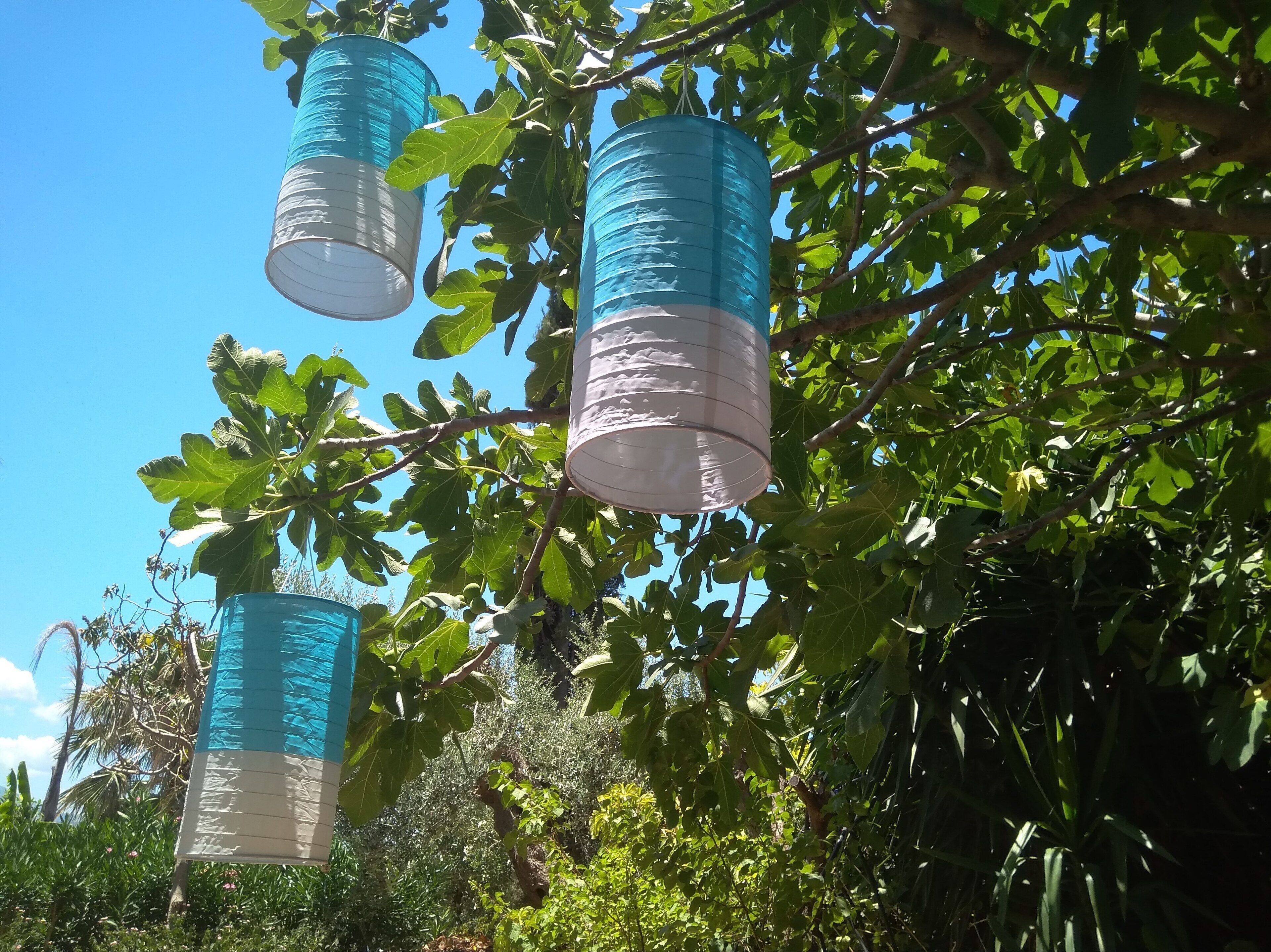 Tres faroles cilíndricos colgados de una rama de árbol.