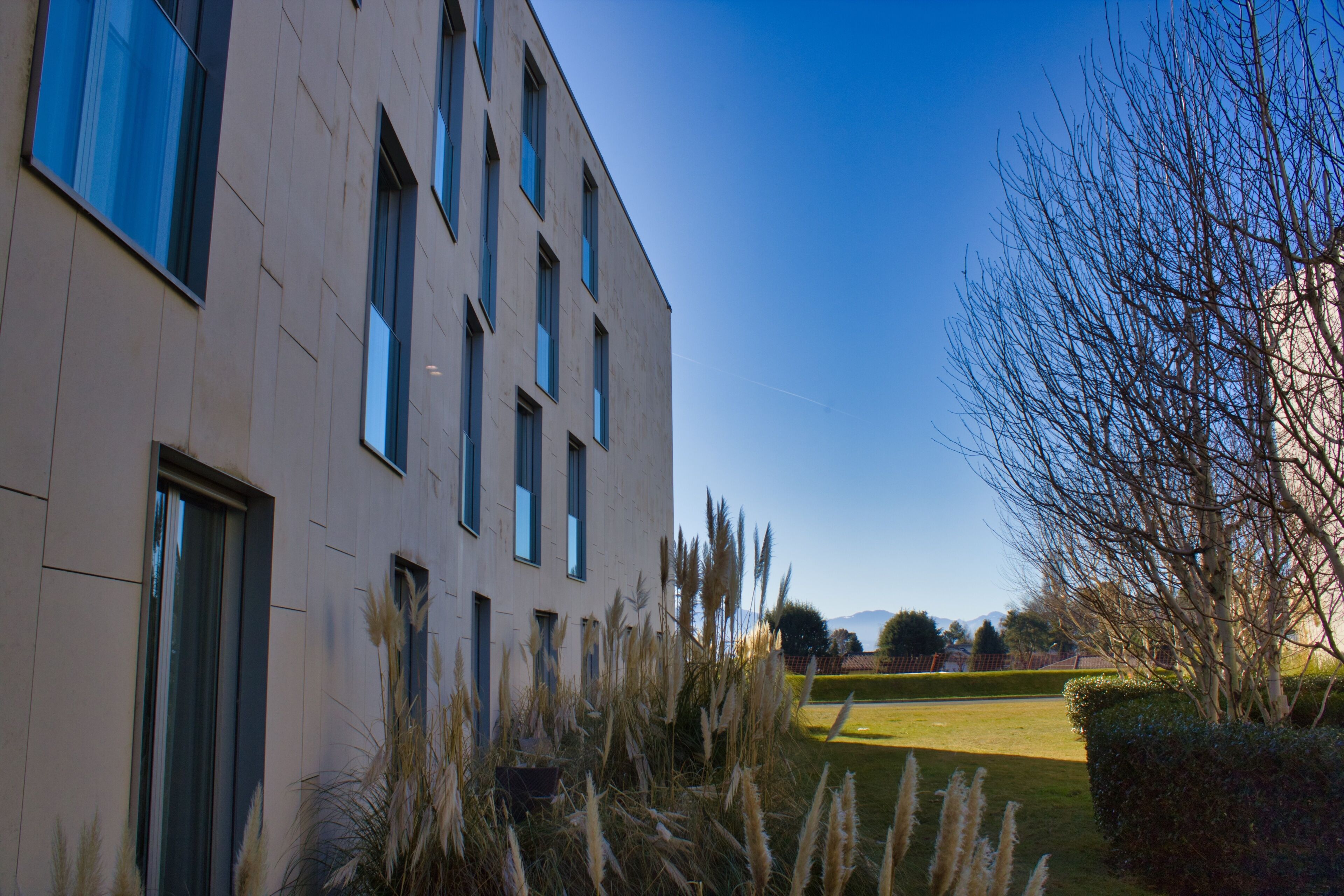 A modern building with multiple windows, a well-maintained lawn, and a tree.