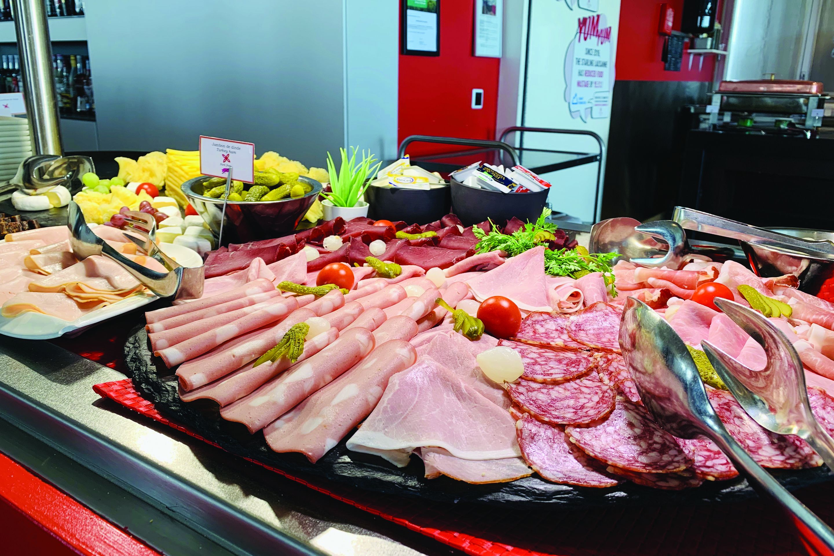 A variety of meats and cheeses displayed on a counter.