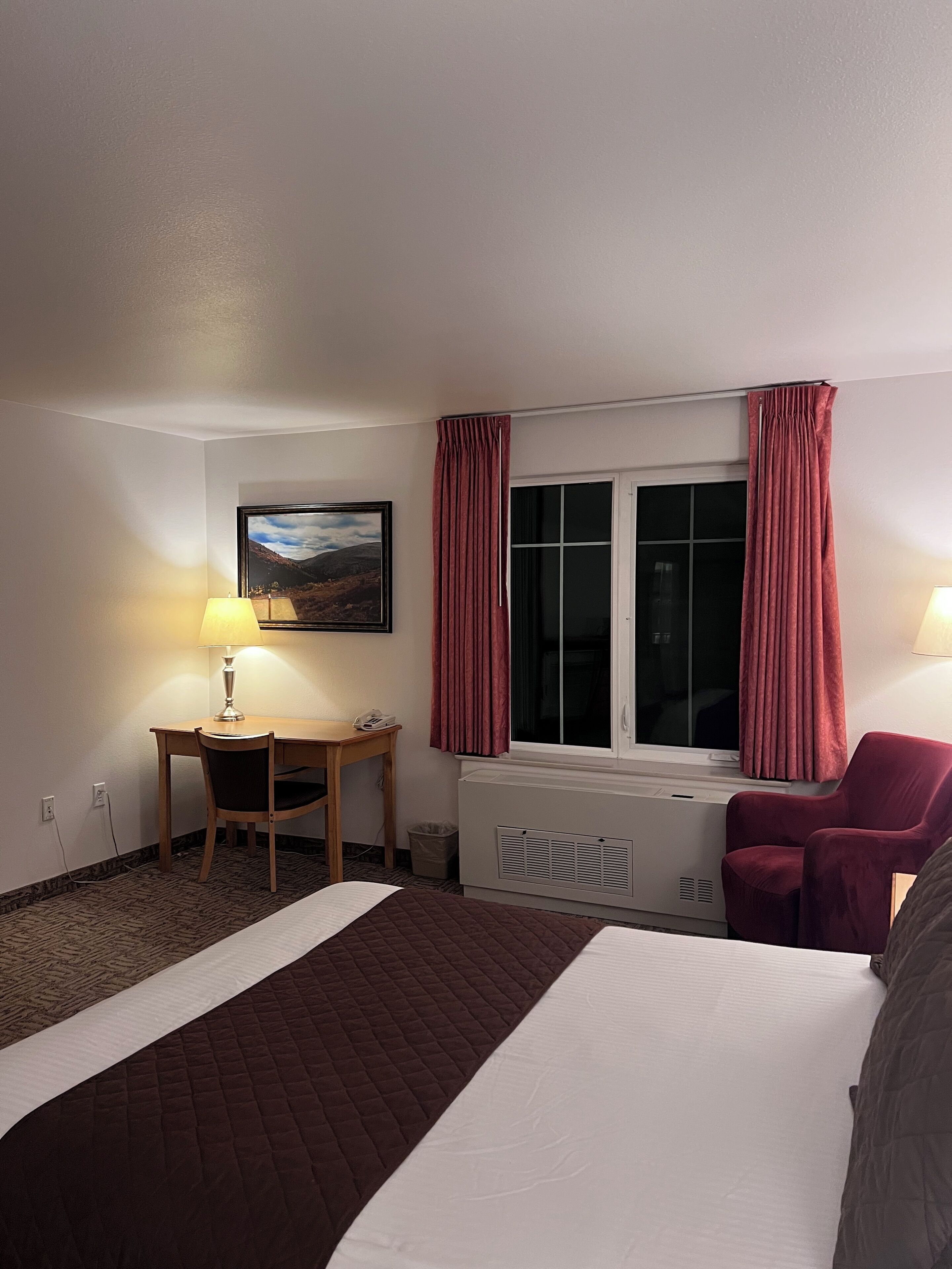 华丽套房, 1 张大床 | 办公桌、遮光窗帘、熨斗/熨衣板、免费 WiFi