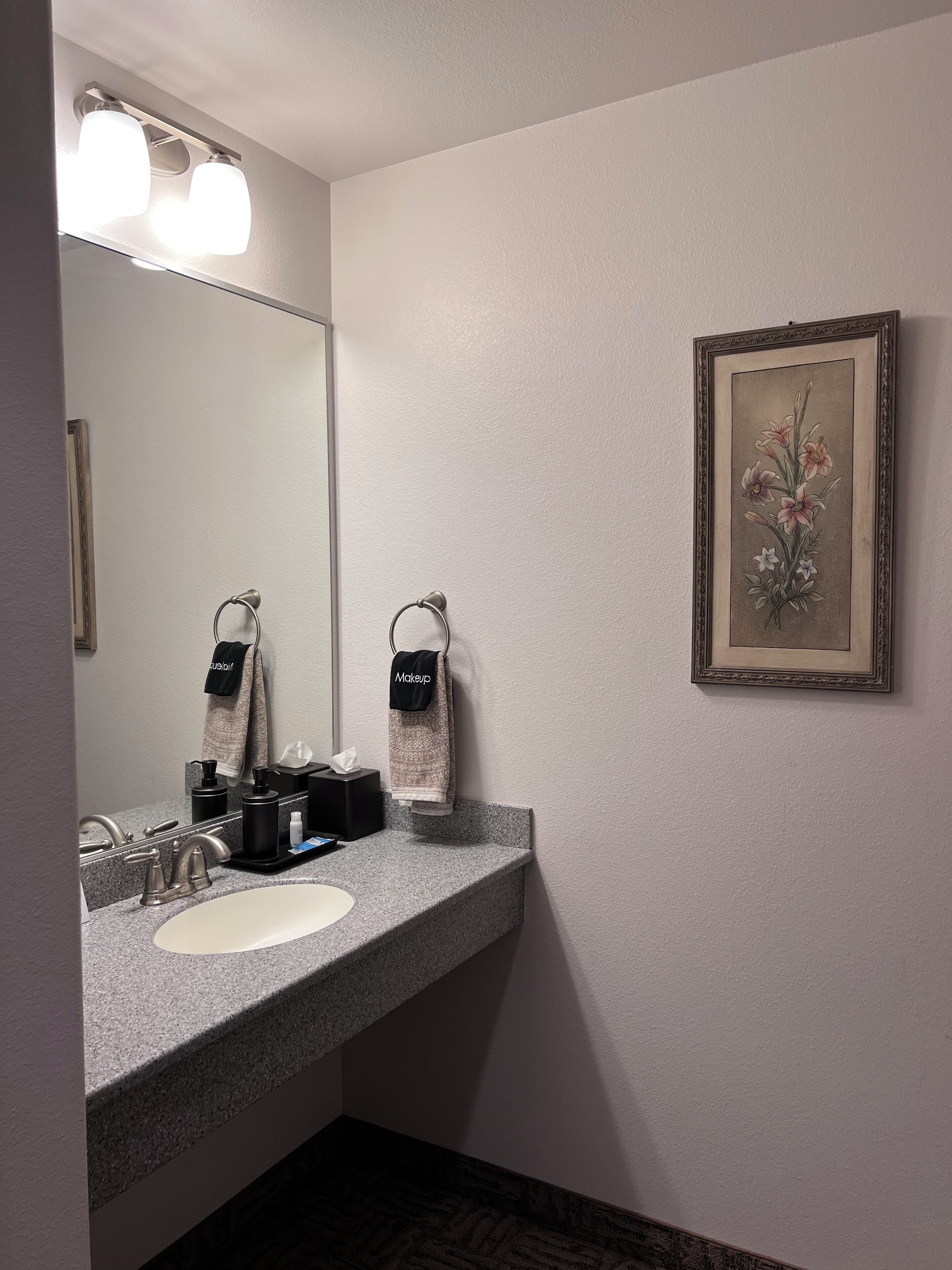 A bathroom with a granite countertop, a white sink, a mirror, and a framed floral artwork on the wall.