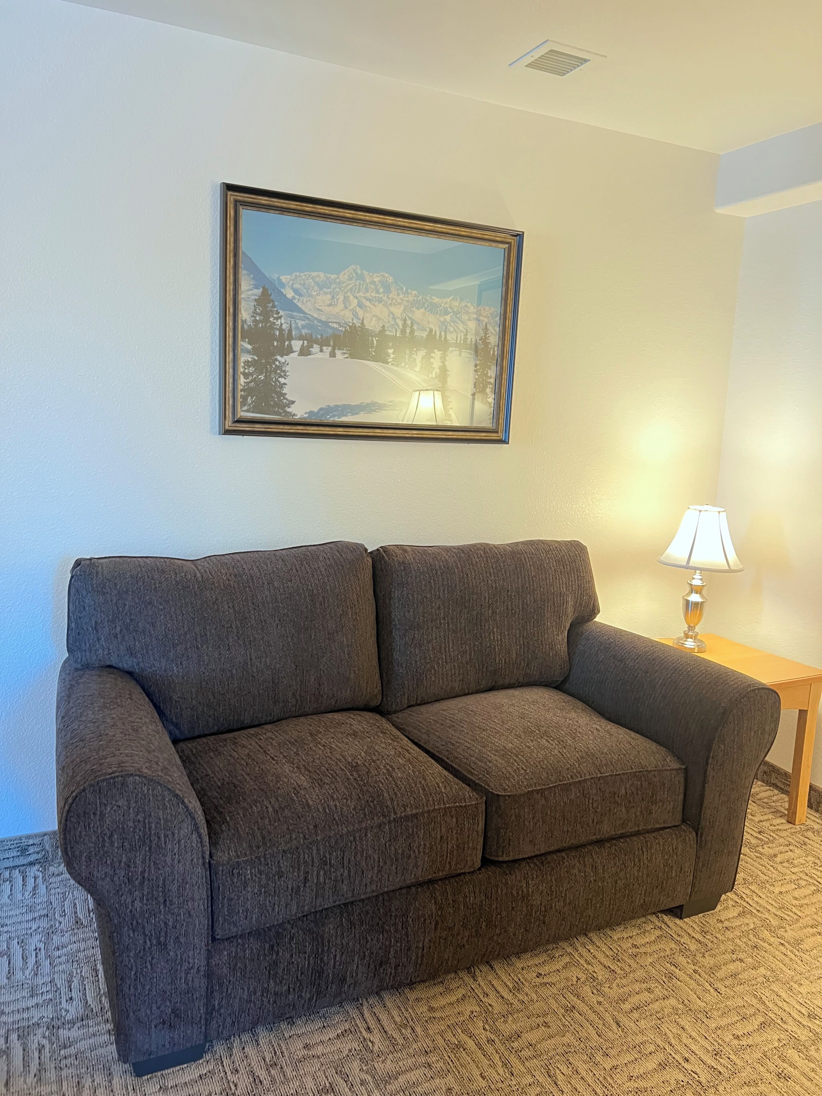 Double Extended Stay Suite | Desk, blackout drapes, iron/ironing board, free WiFi