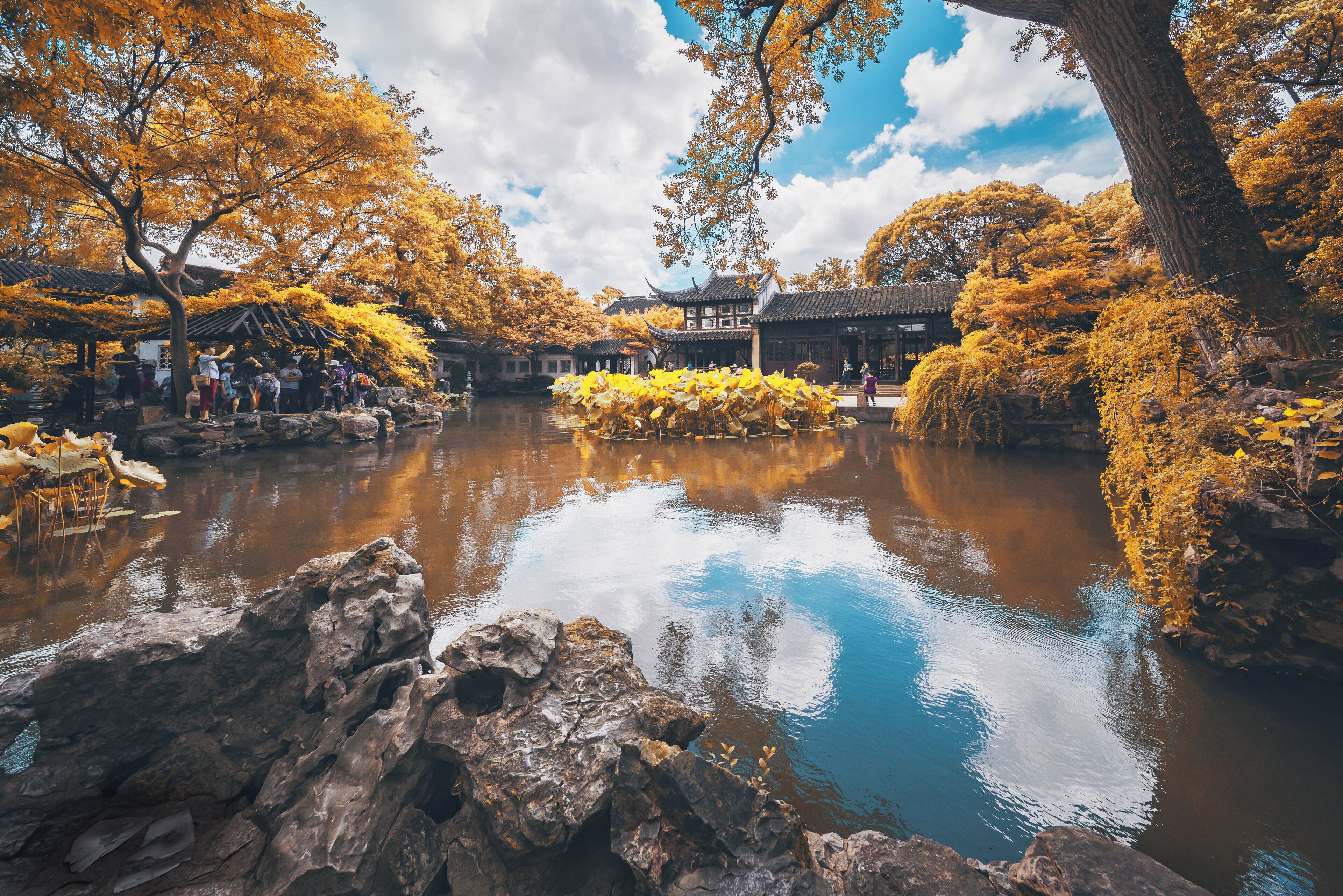 A traditional Japanese garden with a pond, rocks, and autumn foliage.