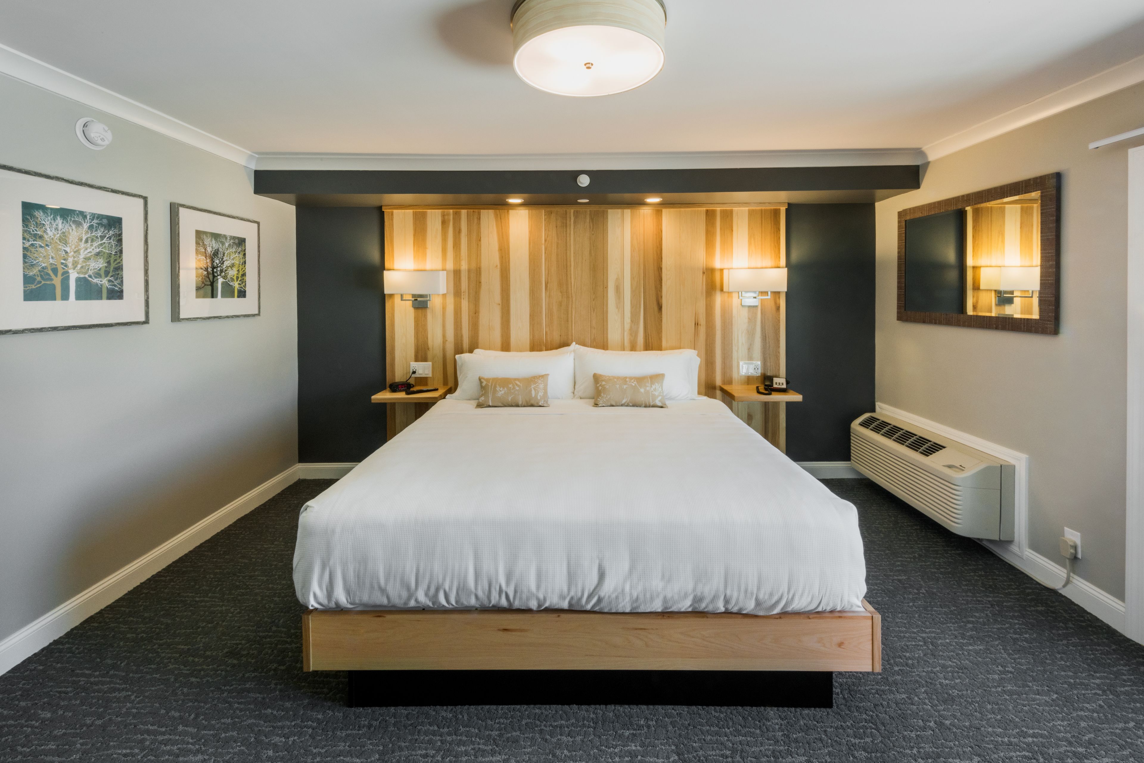 beach level king | premium bedding, individually decorated, blackout curtains