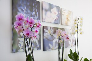 A wall with three framed floral paintings and two orchid plants in vases. - Sicania (Cullera)