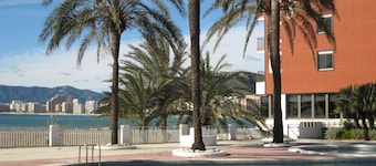 Sicania
