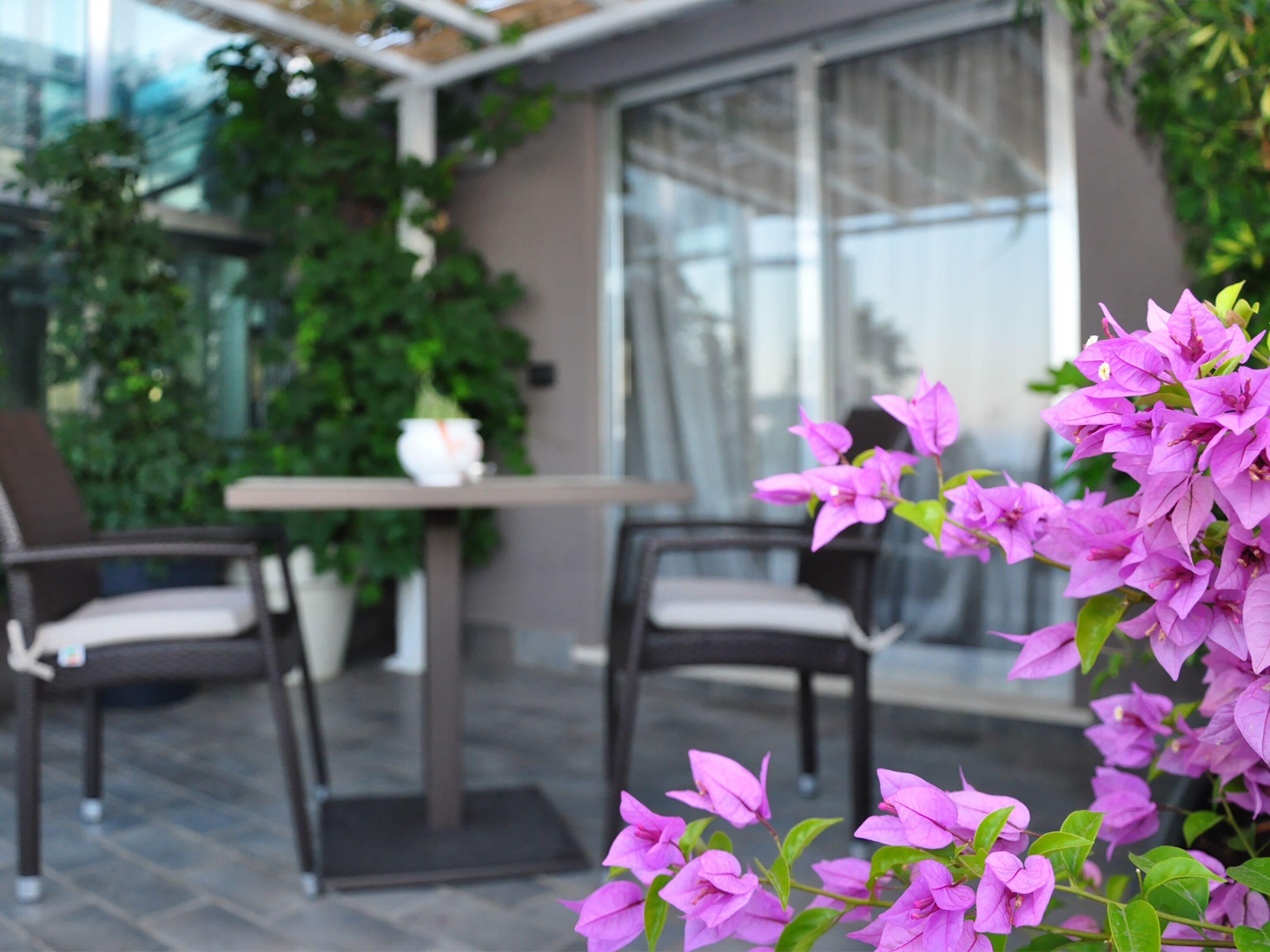 Ein möblierter Patio-Bereich im Freien, umgeben von üppiger Vegetation und blühenden Pflanzen.