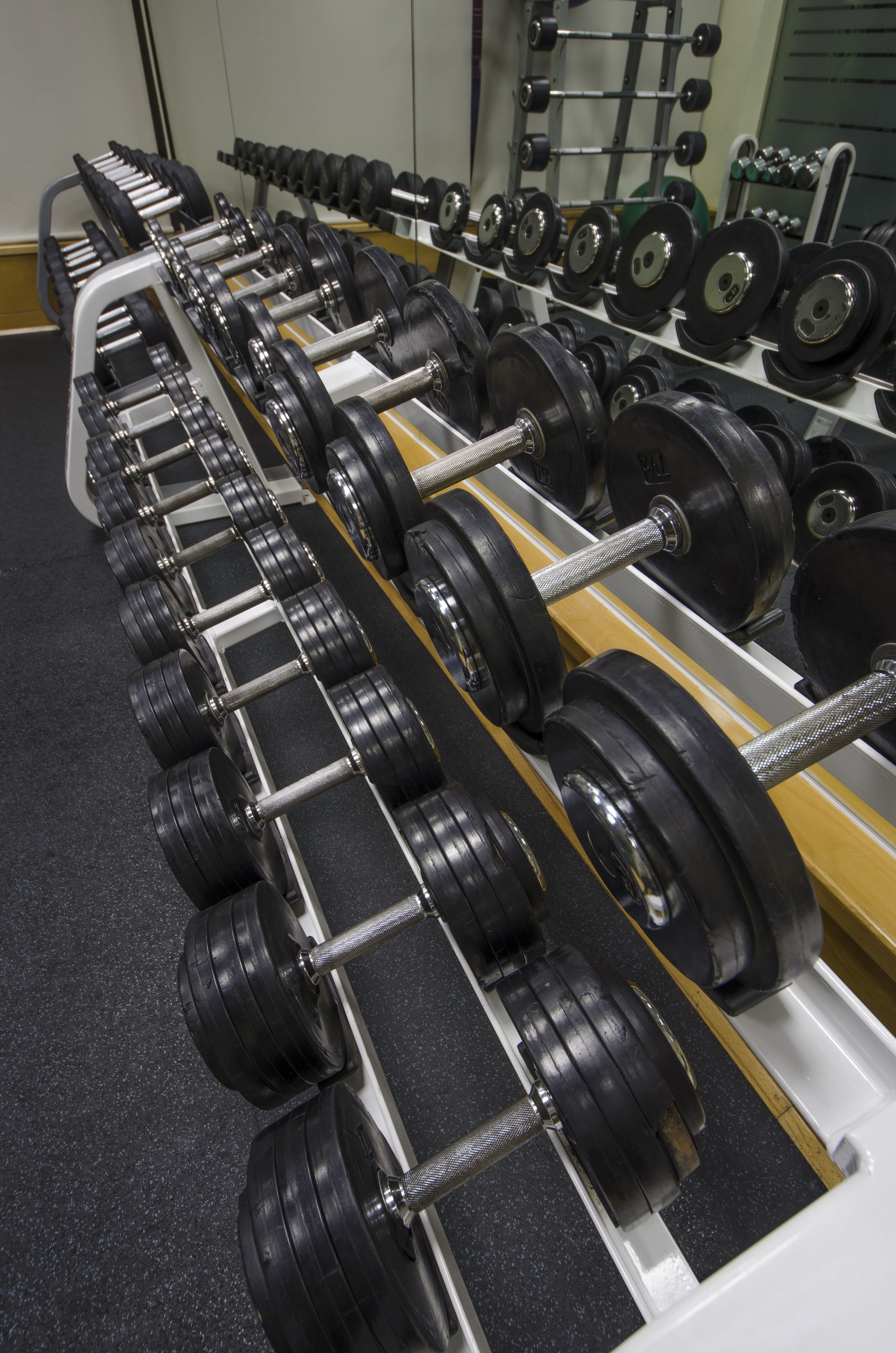 A rack of dumbbells in a gym.