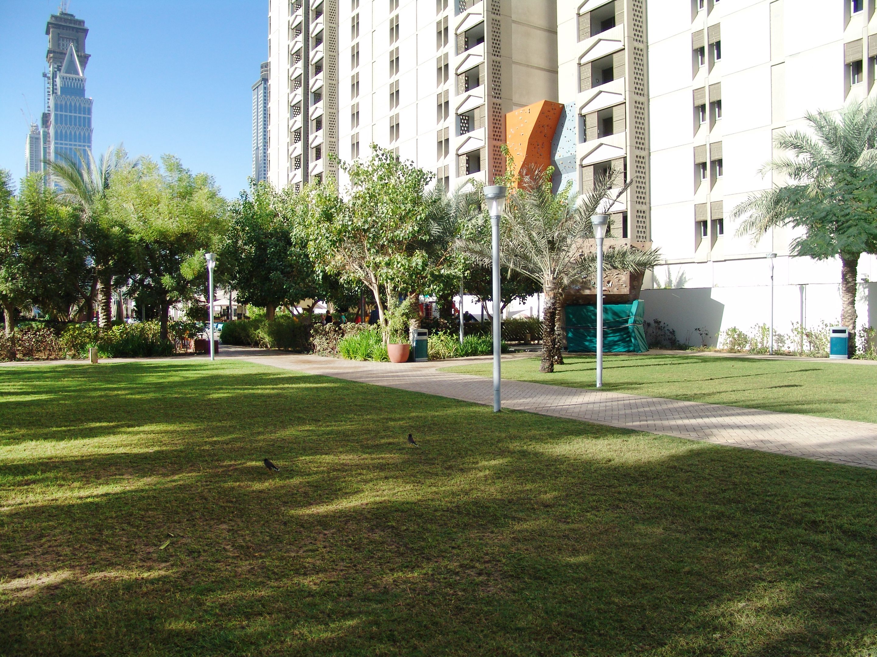 A landscaped courtyard with a pathway, palm trees, and a modern building with multiple floors and balconies.