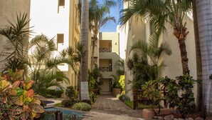 Un patio con piscina, palmeras y un sendero que lleva a la entrada de un edificio.