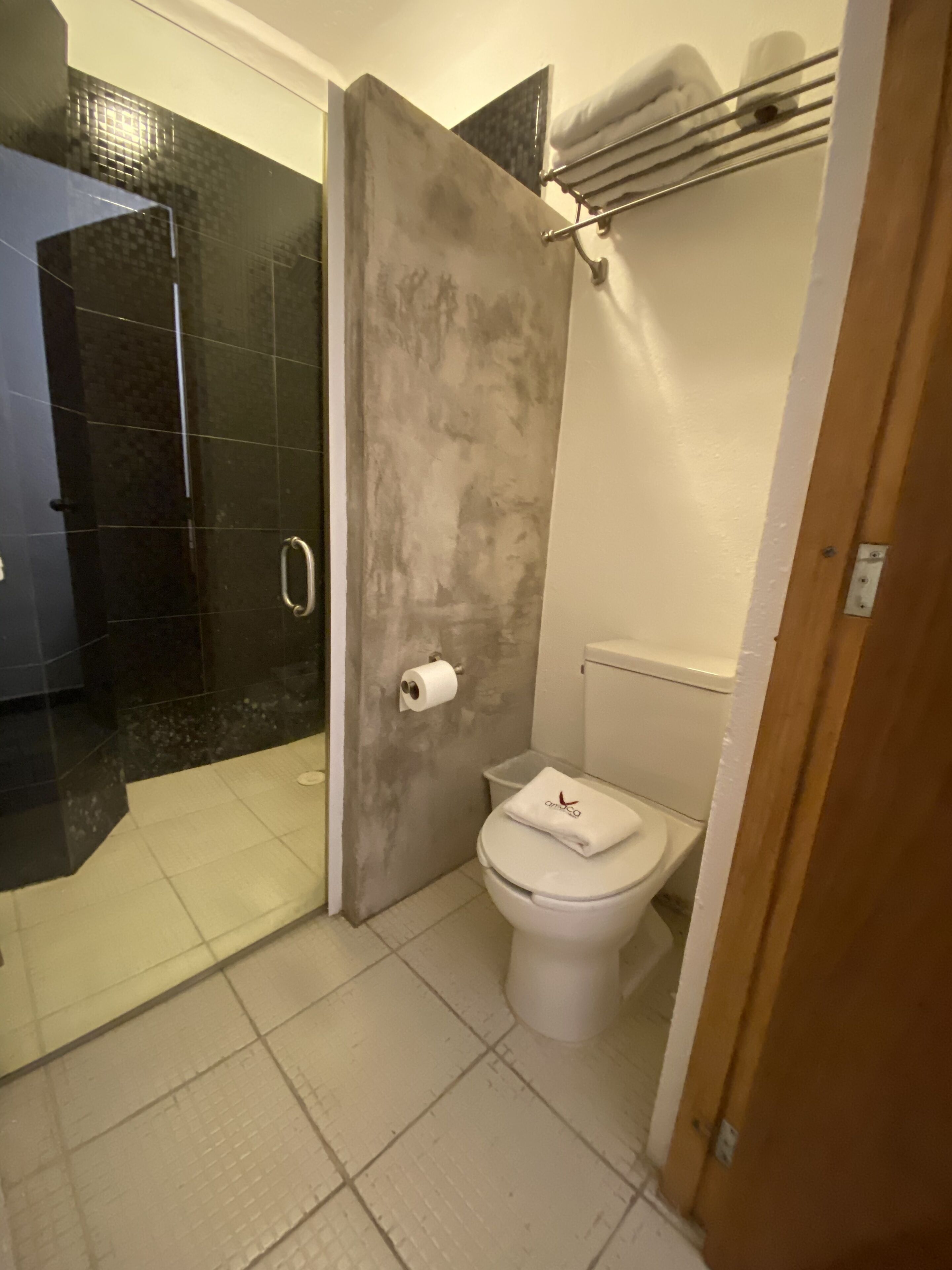 A bathroom with a shower, toilet, and a towel rack.