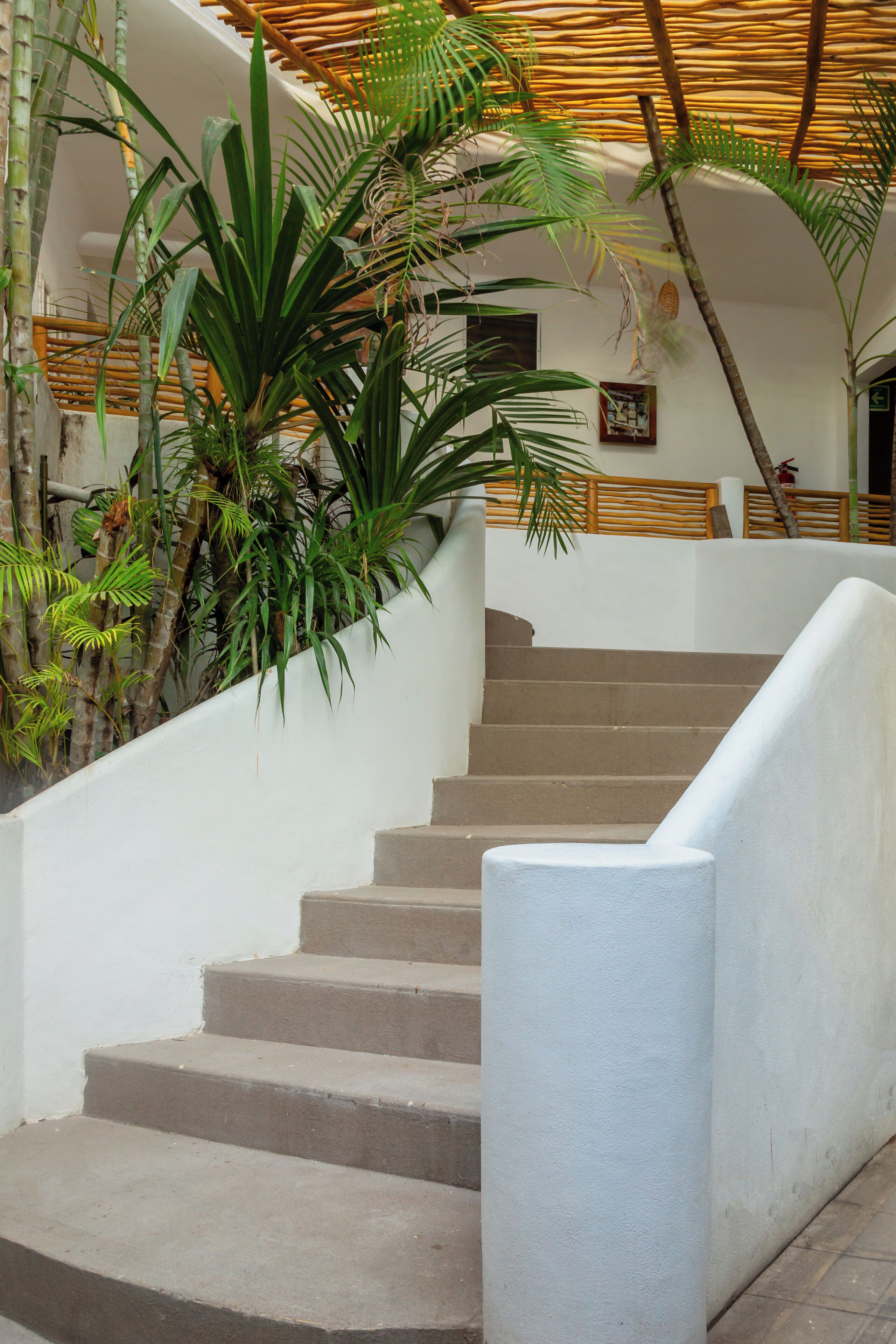 Foto - Hotel Amaca Puerto Vallarta - Adults Only