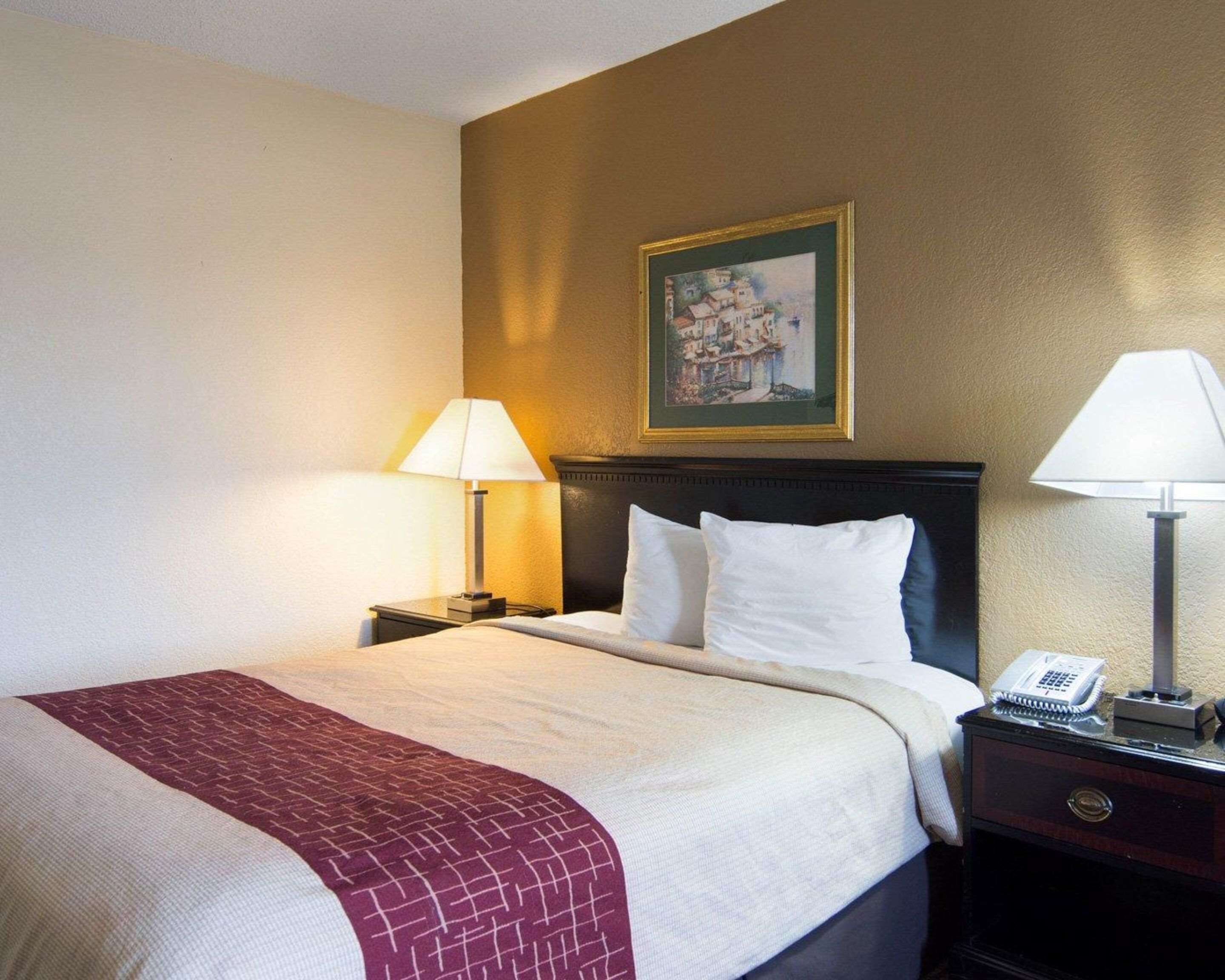 A hotel room with a bed, two bedside tables, a lamp, a painting on the wall, and a telephone on the nightstand.