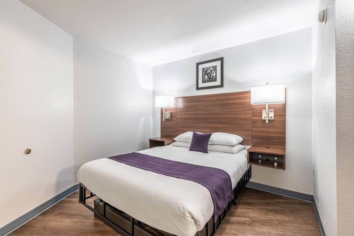 Suite, 1 grand lit