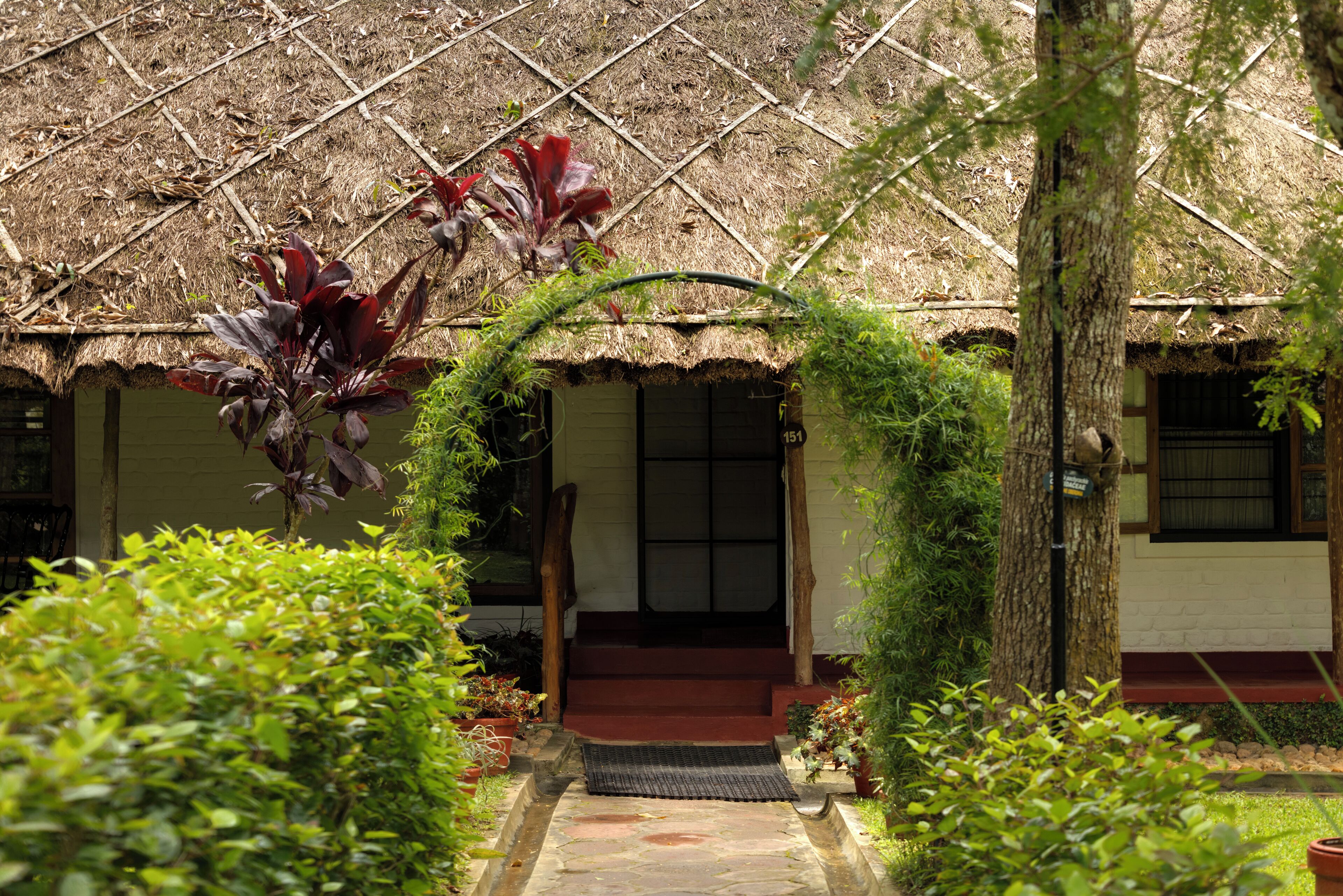 Une maison traditionnelle à toit de chaume, avec un escalier en bois menant à une porte, le tout entouré d’une végétation luxuriante et de plantes en pot.