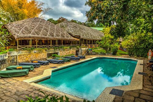 Outdoor pool, pool loungers